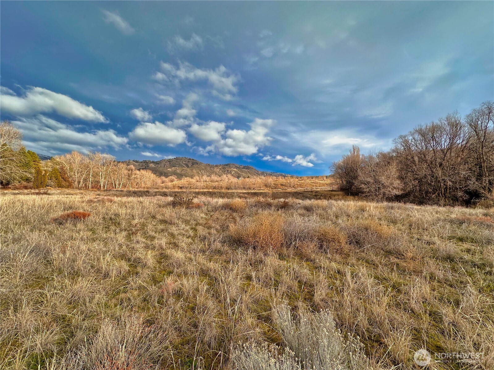 409 Eastlake Road Oroville, WA 98844 - Photo 3 of 10