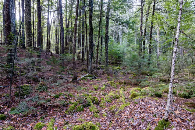 $249,000 | 200 Waltham Me 04605, Ellsworth, ME 04605