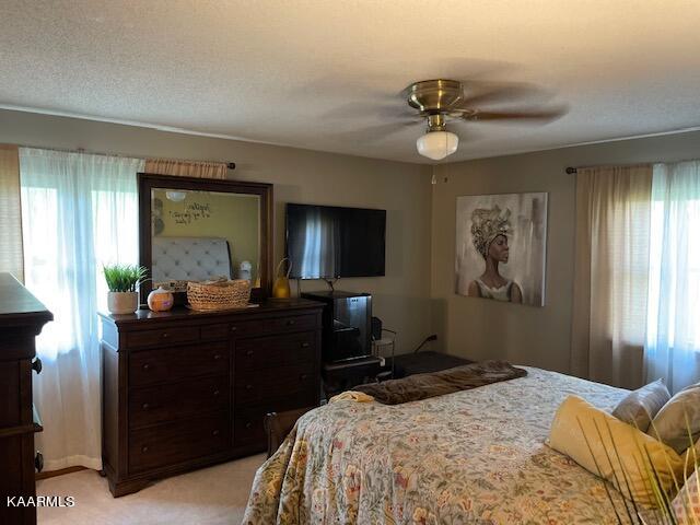 102 West Melbourne Road Oak Ridge, TN 37830 - Photo 24 of 58 Master Bed 1