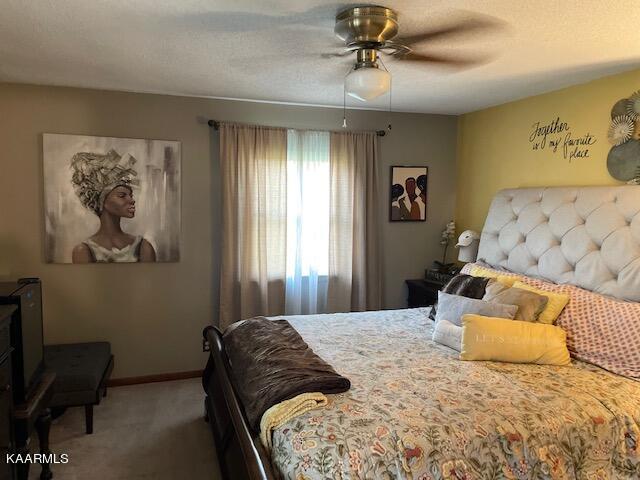 102 West Melbourne Road Oak Ridge, TN 37830 - Photo 25 of 58 Master Bed 2