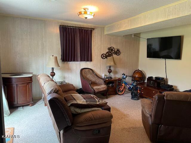 102 West Melbourne Road Oak Ridge, TN 37830 - Photo 31 of 58 Basement 3