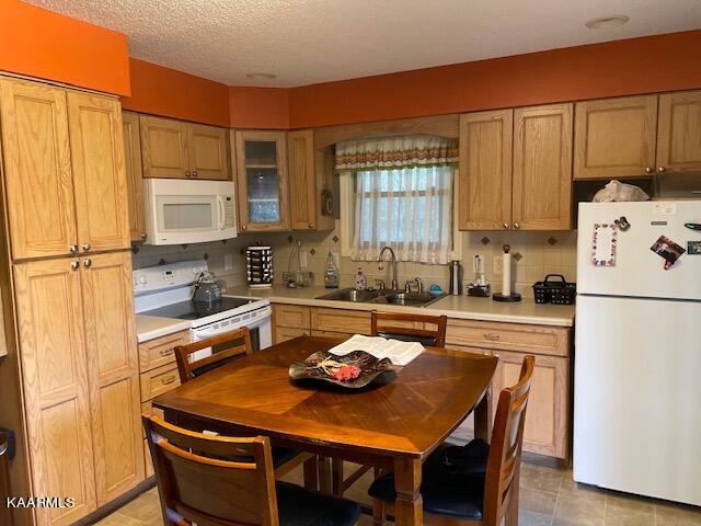 102 West Melbourne Road Oak Ridge, TN 37830 - Photo 55 of 58 Apartment Kitchen 2