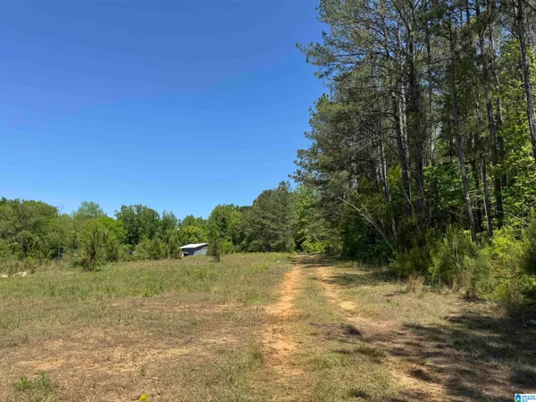 $125,000 | Satterwhite Street, Unit 11 75 ACRES, Roanoke, AL 36274