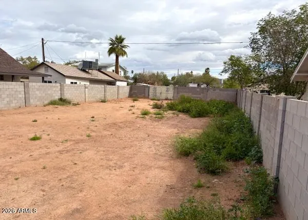 a view of a dry yard with wooden fence