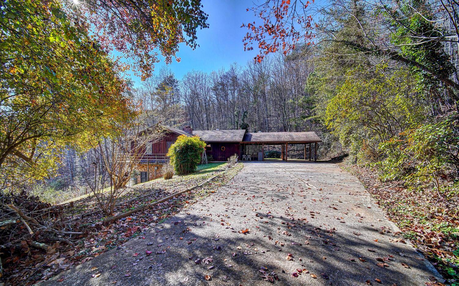 178 Cox Road Blue Ridge, GA 30513 - Photo 1 of 1 Main View