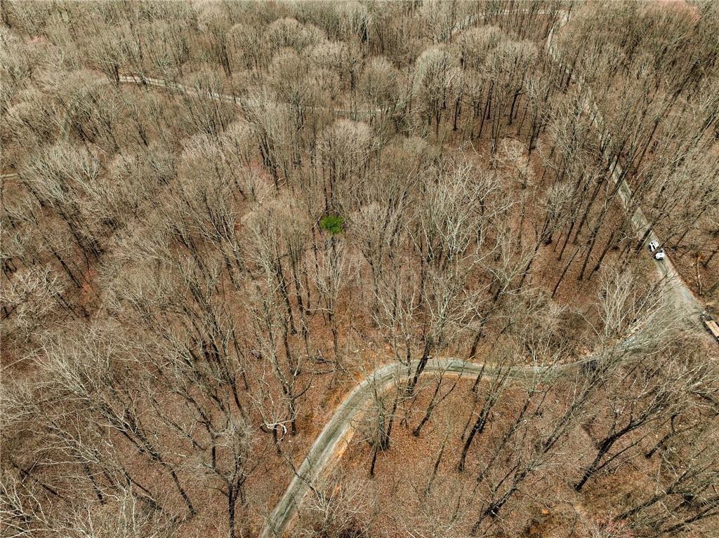 Lot 5 Mount Mincie Road Murrayville, GA 30564 - Photo 5 of 17 Gallery Image 5