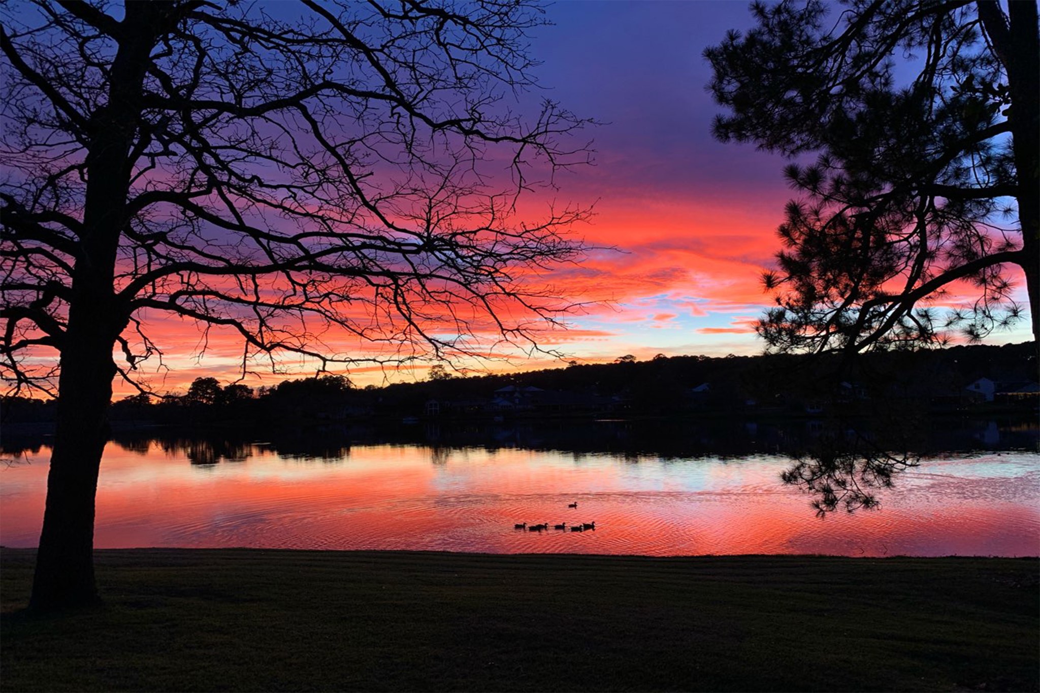 14 Lakeview Manor Huntsville, TX 77340 - Photo 25 of 48 a view of a yard