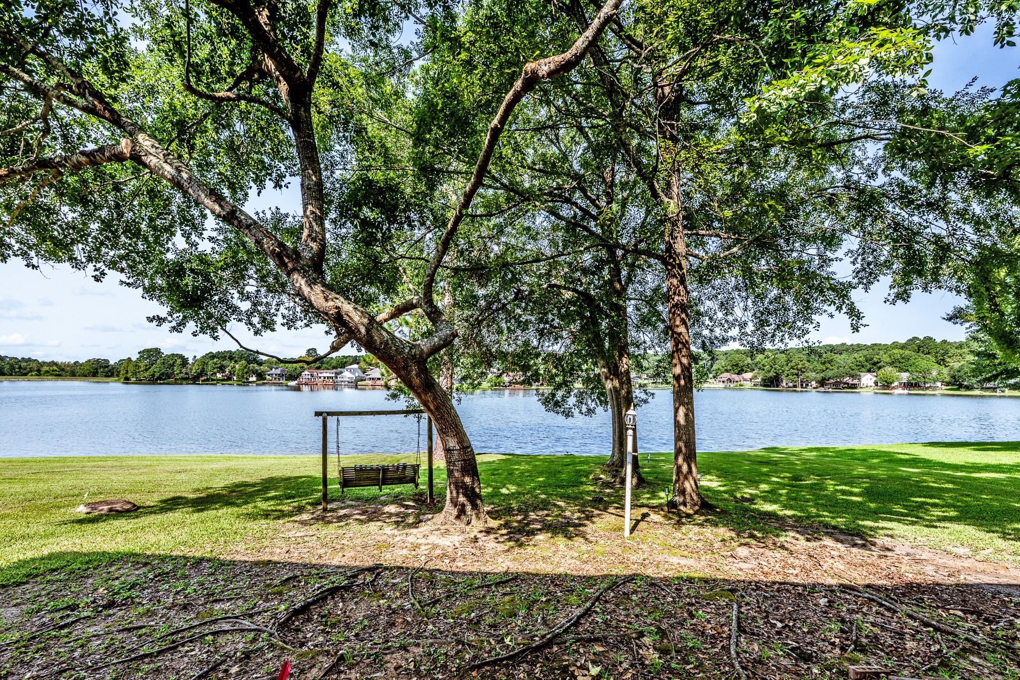 14 Lakeview Manor Huntsville, TX 77340 - Photo 43 of 48 a view of a large trees with a yard