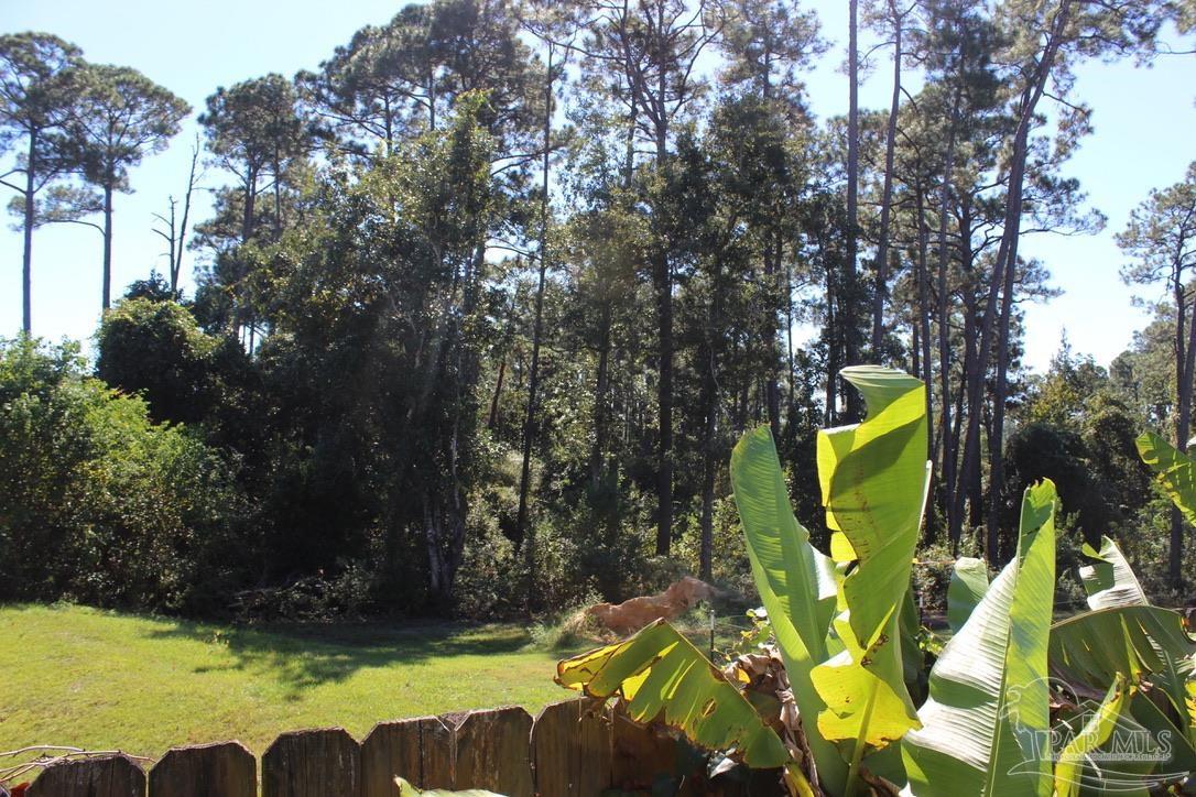 6364 Parakeet Trail Pensacola, FL 32503 - Photo 54 of 72