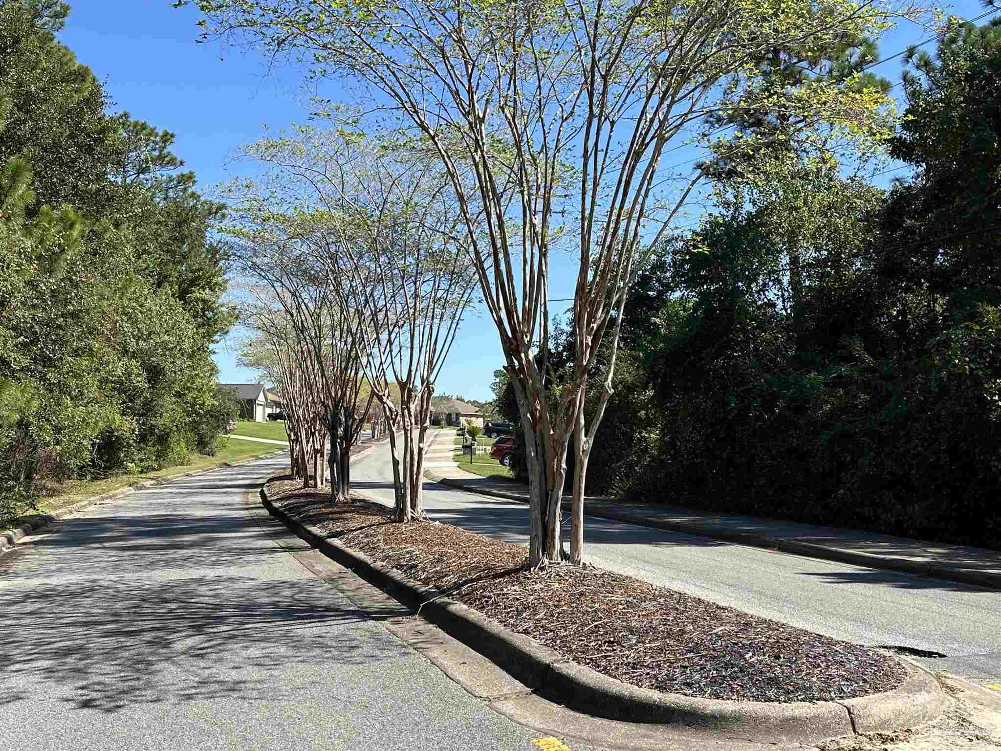 6364 Parakeet Trail Pensacola, FL 32503 - Photo 7 of 72 a view of a yard with plants