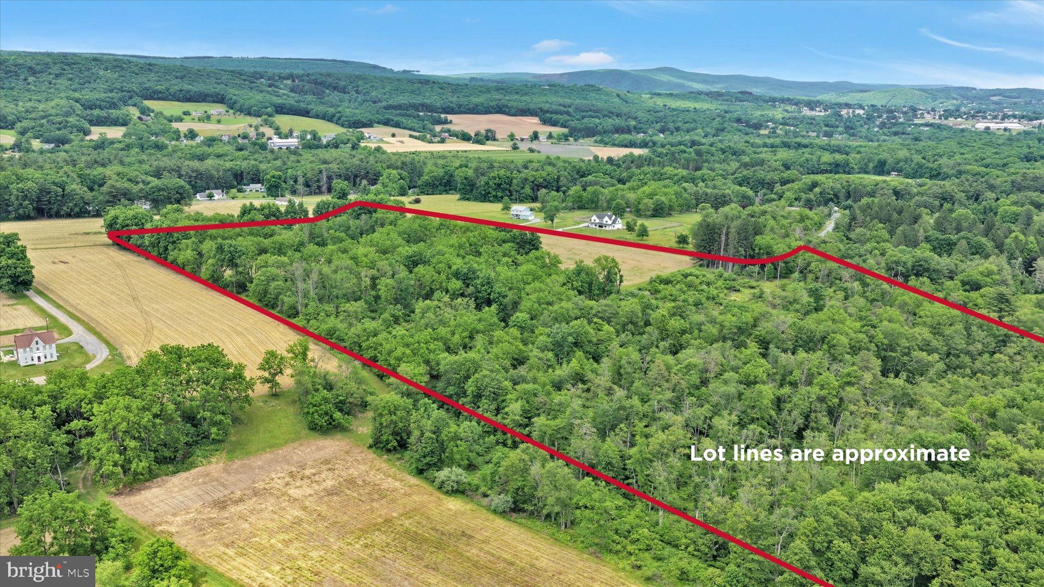 0 Fredericks Grove Road Lehighton, PA 18235 - Photo 9 of 16 Expansive land with lush greenery