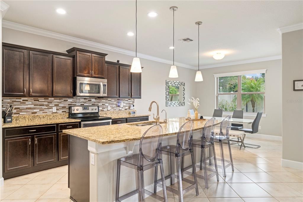 30106 Kladruby Point Mount Dora, FL 32757 - Photo 24 of 69