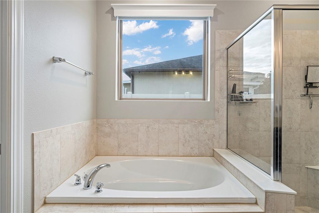 30106 Kladruby Point Mount Dora, FL 32757 - Photo 34 of 69