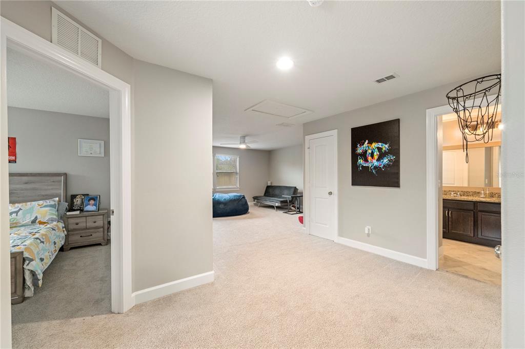 30106 Kladruby Point Mount Dora, FL 32757 - Photo 48 of 69