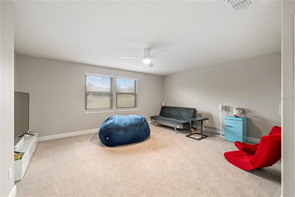 30106 Kladruby Point Mount Dora, FL 32757 - Photo 50 of 69