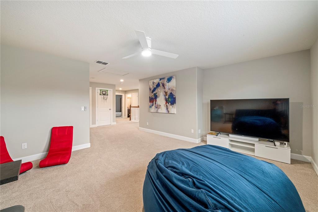 30106 Kladruby Point Mount Dora, FL 32757 - Photo 51 of 69