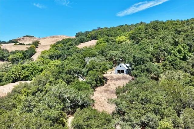 a view of a dry yard with trees and stairs
