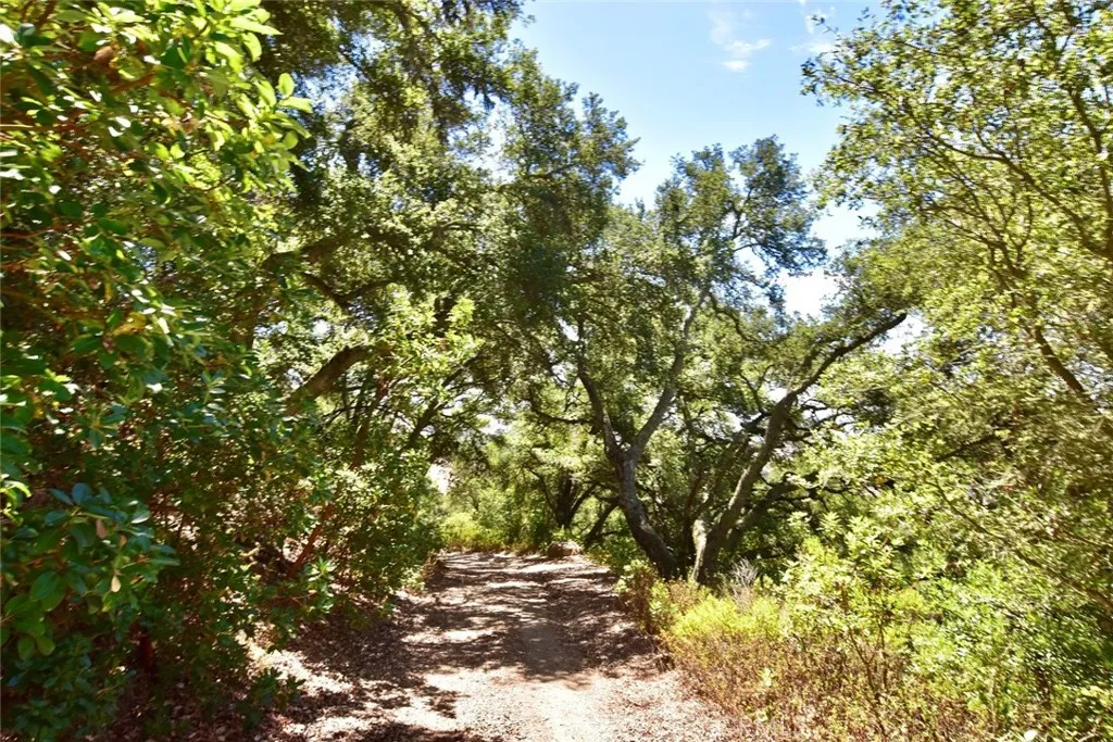 0 Old Creek Road Templeton, CA 93465 - Photo 23 of 26 a view of a tree
