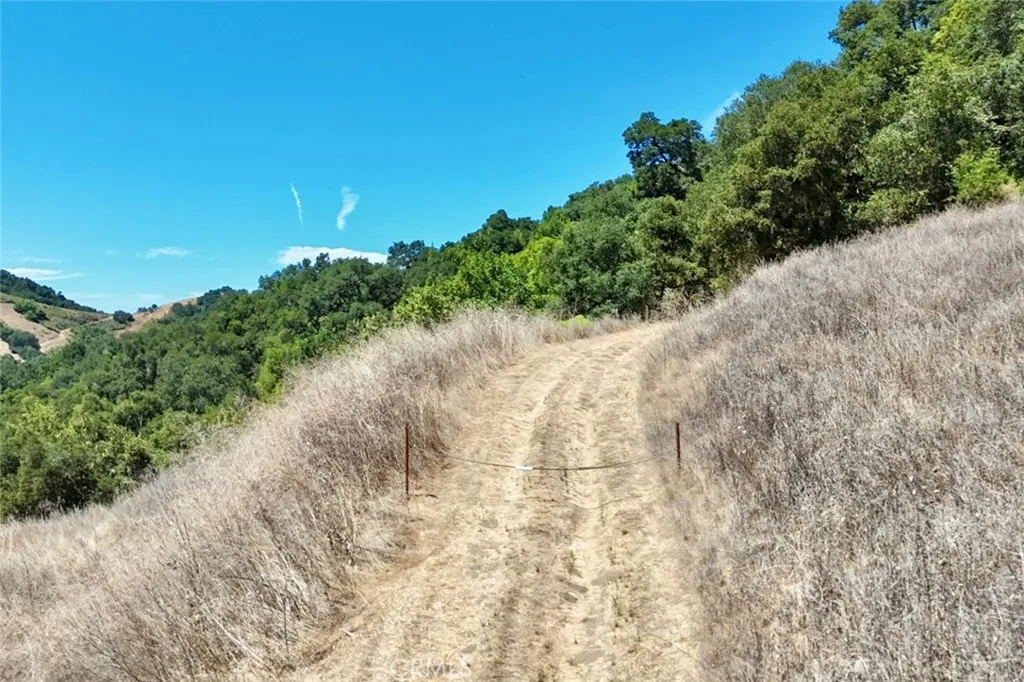 0 Old Creek Road Templeton, CA 93465 - Photo 24 of 26 a view of a dry yard with trees and stairs
