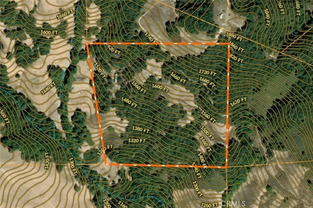 0 Old Creek Road Templeton, CA 93465 - Photo 25 of 26 a picture of flowers