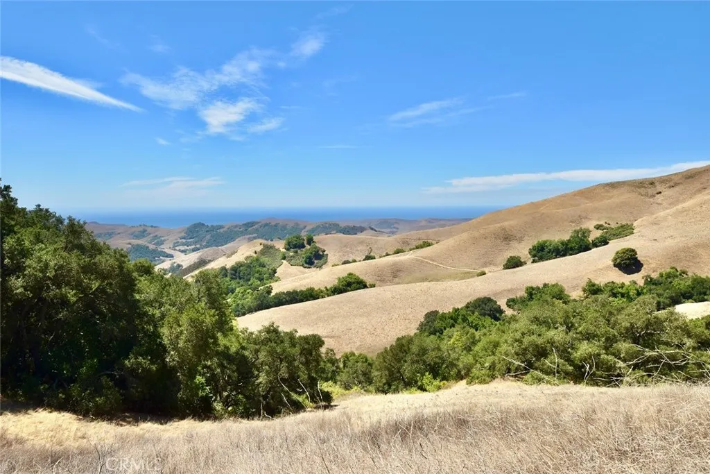 0 Old Creek Road Templeton, CA 93465 - Photo 6 of 26 a view of a yard with a garden