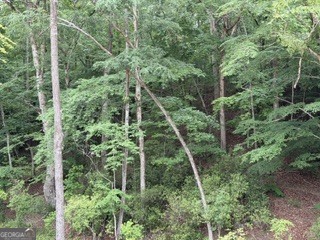 2180 Dunn Road Molena, GA 30258 - Photo 9 of 29 Gallery Image 9