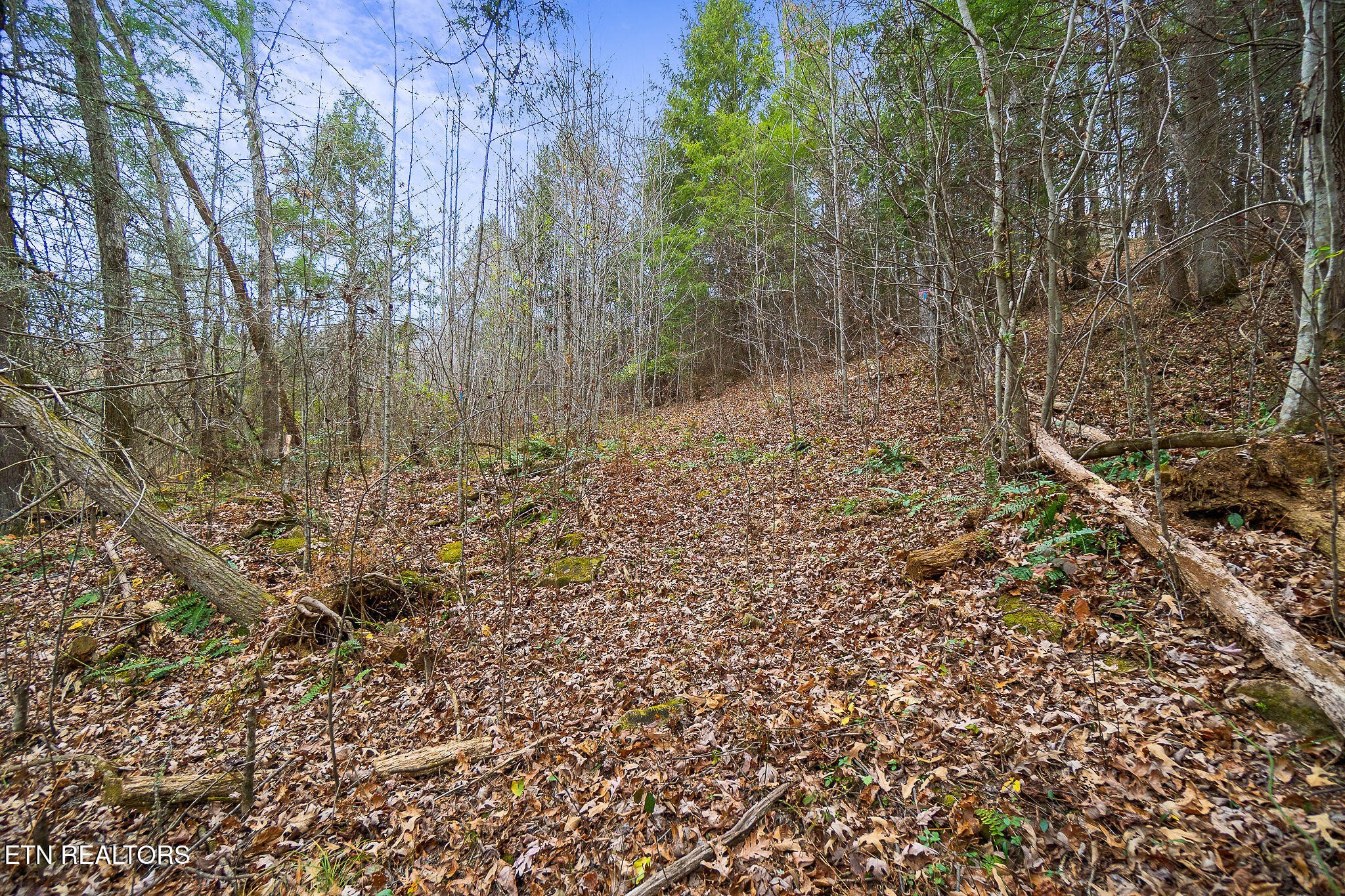364 Open Range Road Crossville, TN 38555 - Photo 13 of 27 Gallery Image 13