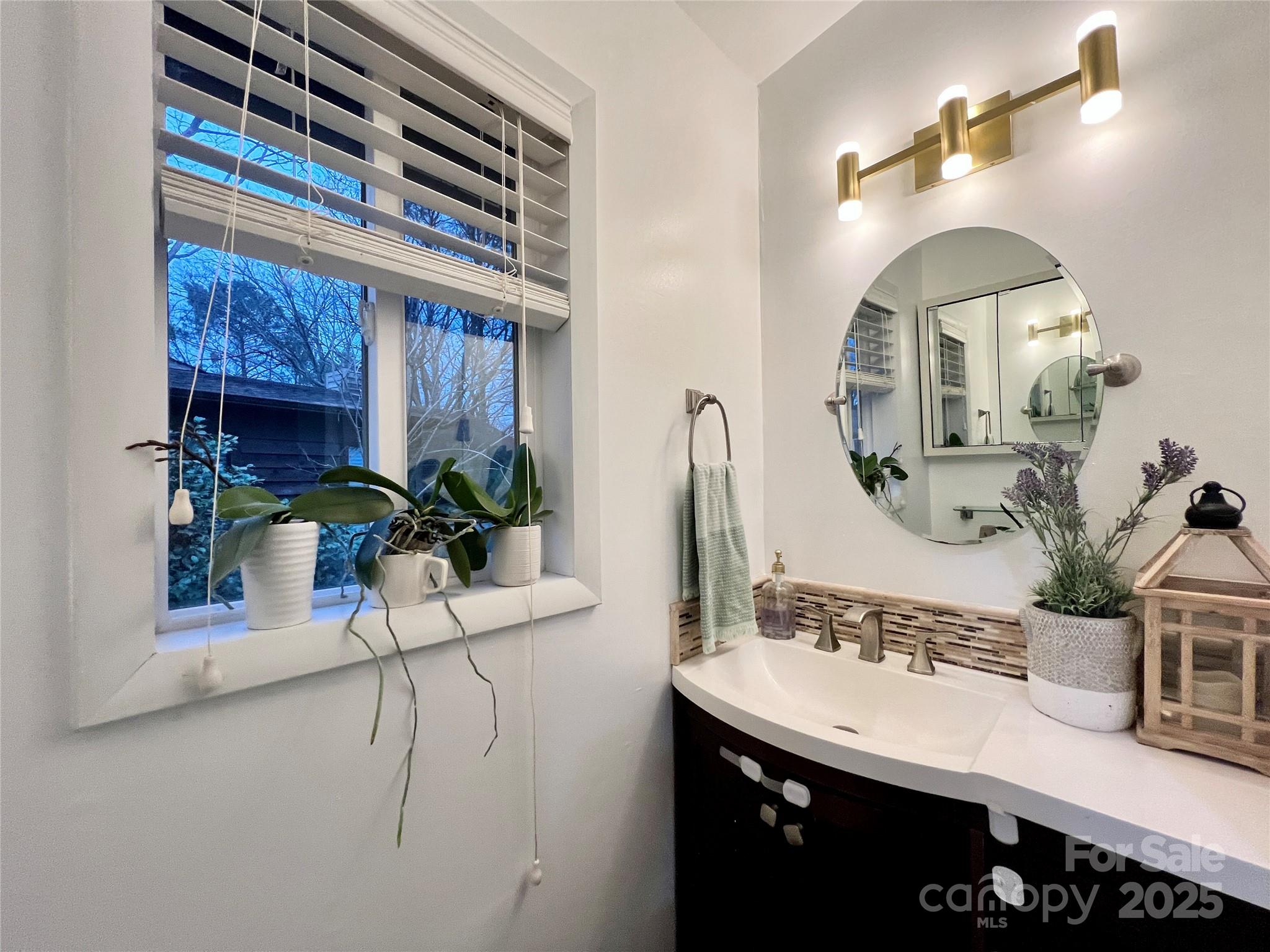 9009 Cebu Court Fort Mill, SC 29708 - Photo 5 of 35 a bathroom with a sink and a mirror