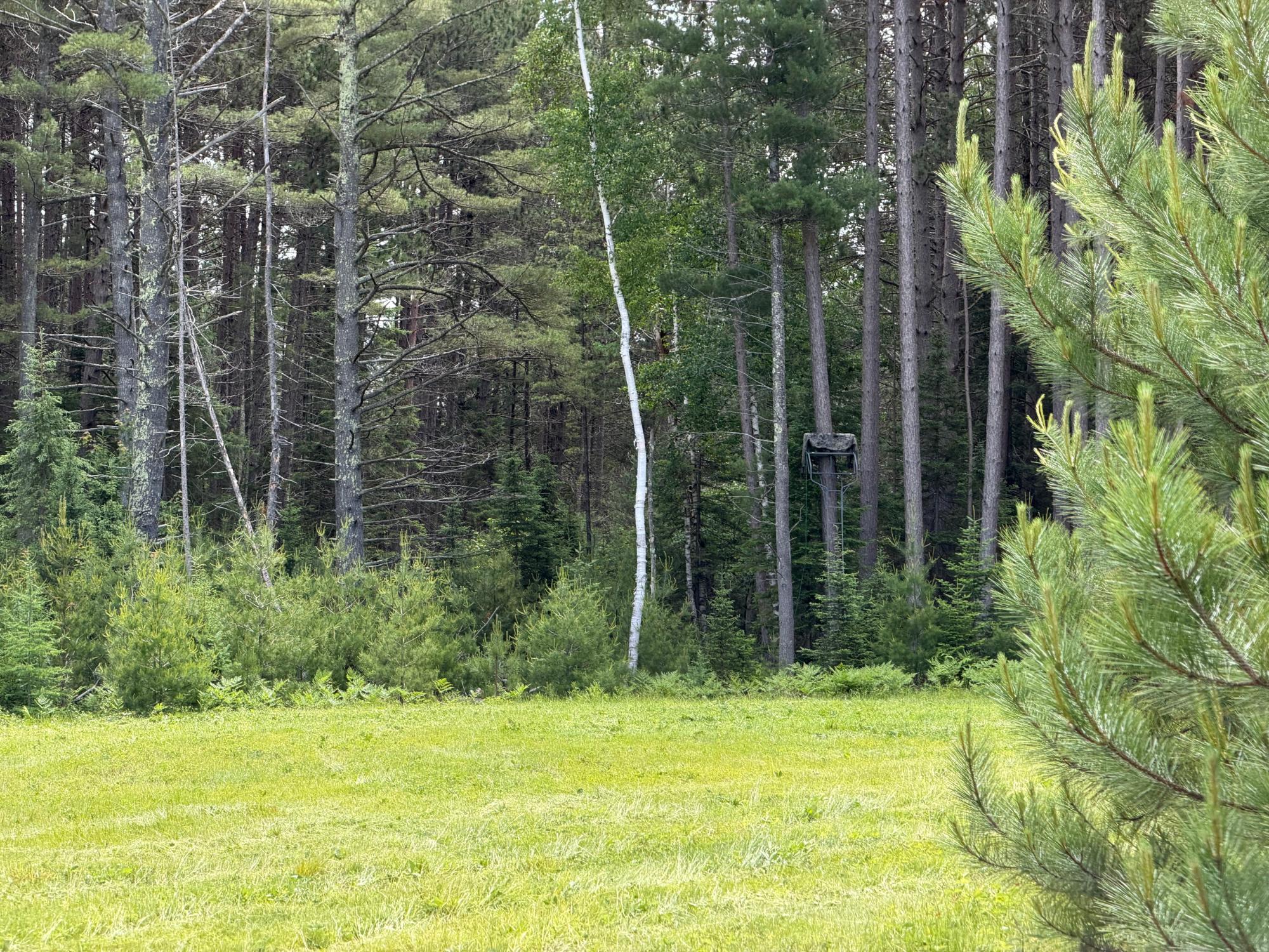 5566 McNaughton Lane Rhinelander, WI 54501 - Photo 2 of 32 Gallery Image 2
