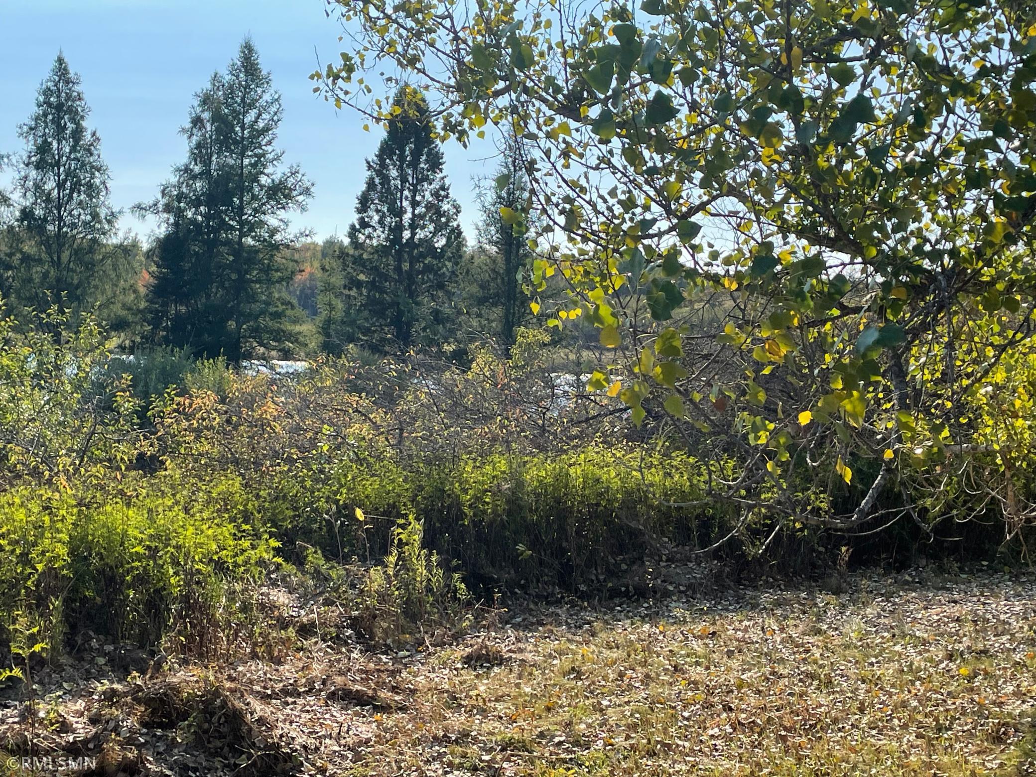 3990 County Line Road Sturgeon Lake, MN 55783 - Photo 8 of 13