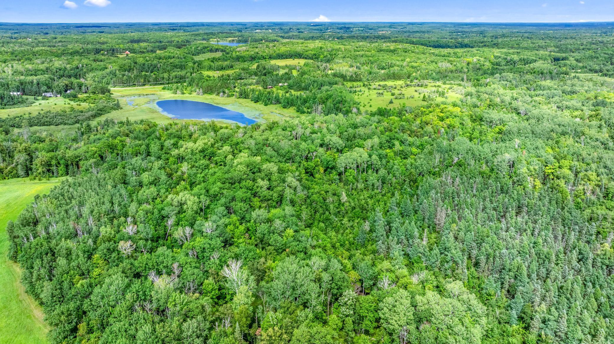 3990 County Line Road Sturgeon Lake, MN 55783 - Photo 10 of 13