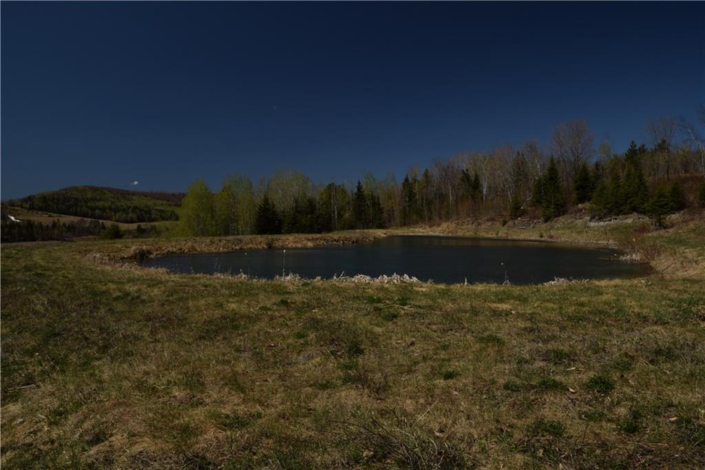 2090 Caribou Road Sinclair, ME 04779 - Photo 21 of 28 Private trout pond