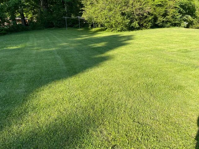 a view of a green yard