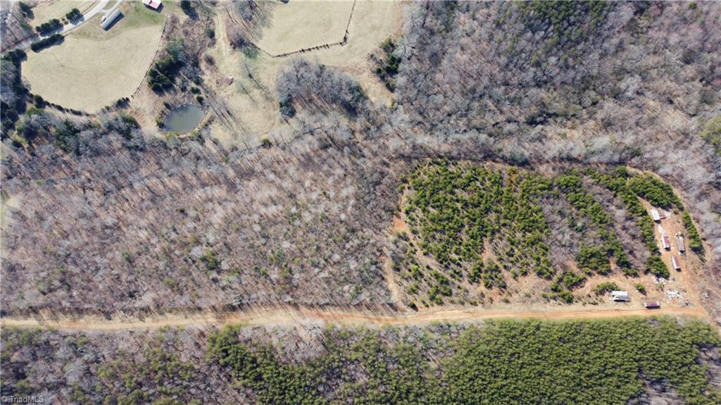 0 Jim McKinney Road Pinnacle, NC 27043 - Photo 11 of 22