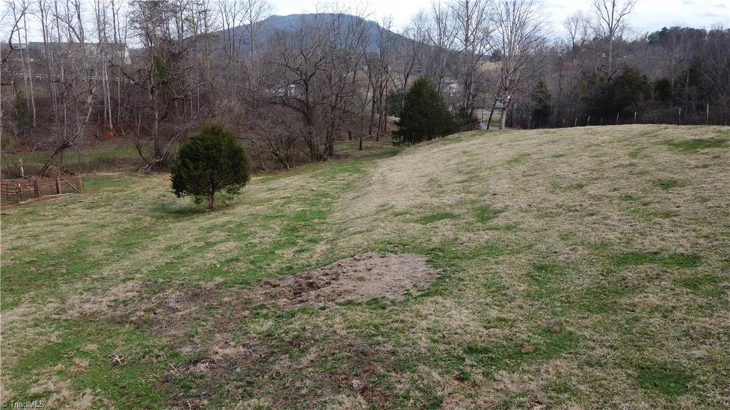 0 Jim McKinney Road Pinnacle, NC 27043 - Photo 15 of 22