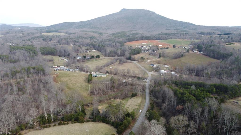 0 Jim McKinney Road Pinnacle, NC 27043 - Photo 6 of 22