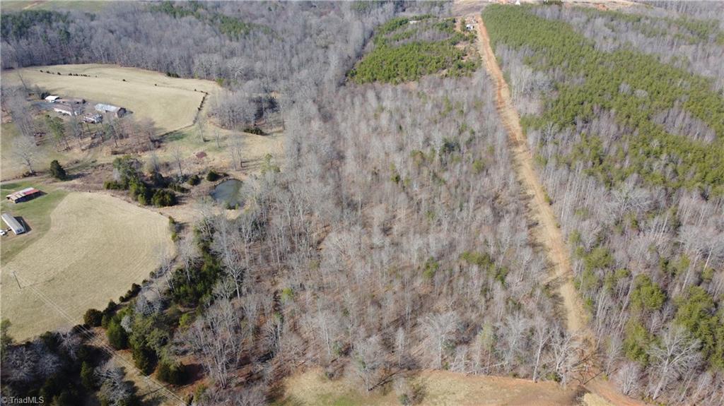 0 Jim McKinney Road Pinnacle, NC 27043 - Photo 8 of 22