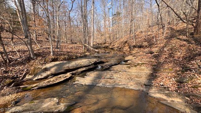 0 Jim McKinney Road Pinnacle, NC 27043 - Photo 9 of 22