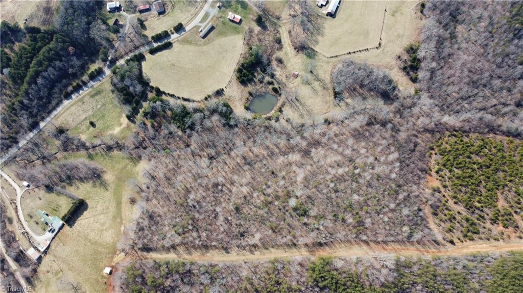 0 Jim McKinney Road Pinnacle, NC 27043 - Photo 10 of 22