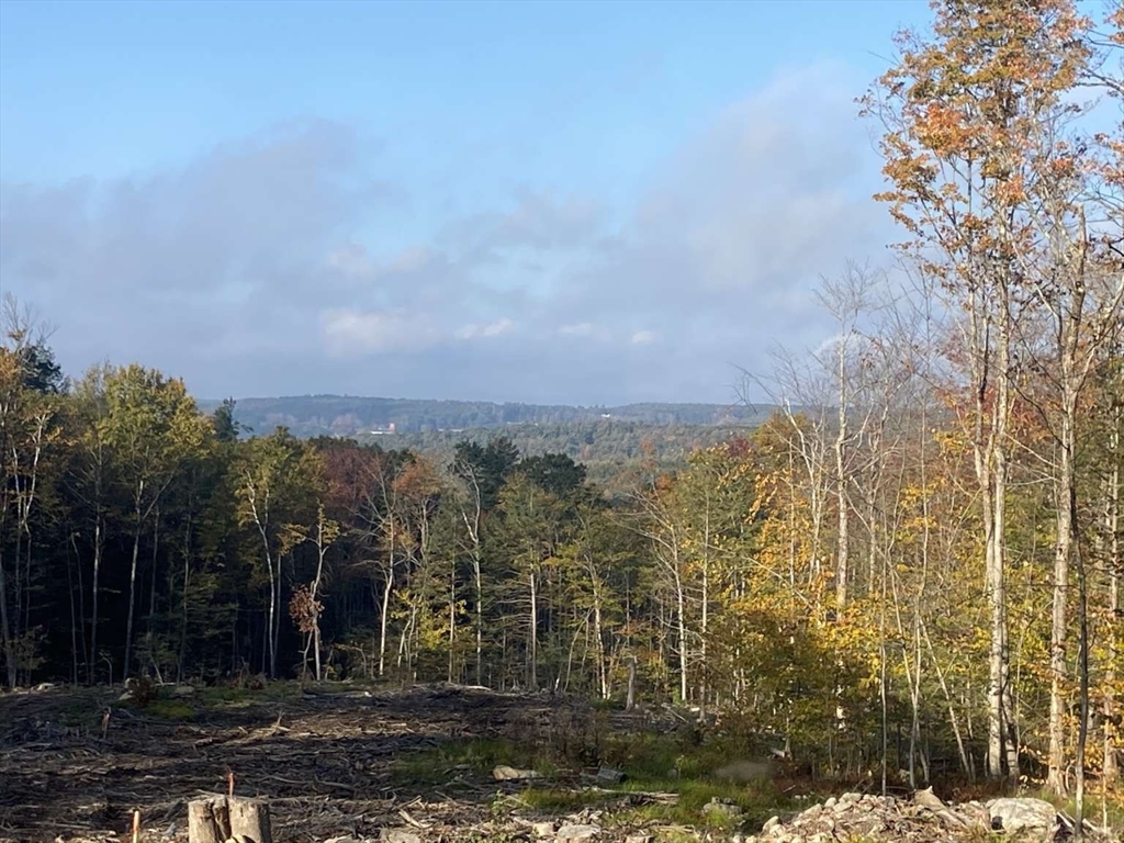 71 Gibson Road Ashburnham, MA 01430 - Photo 5 of 6 a view of a city with lush green forest