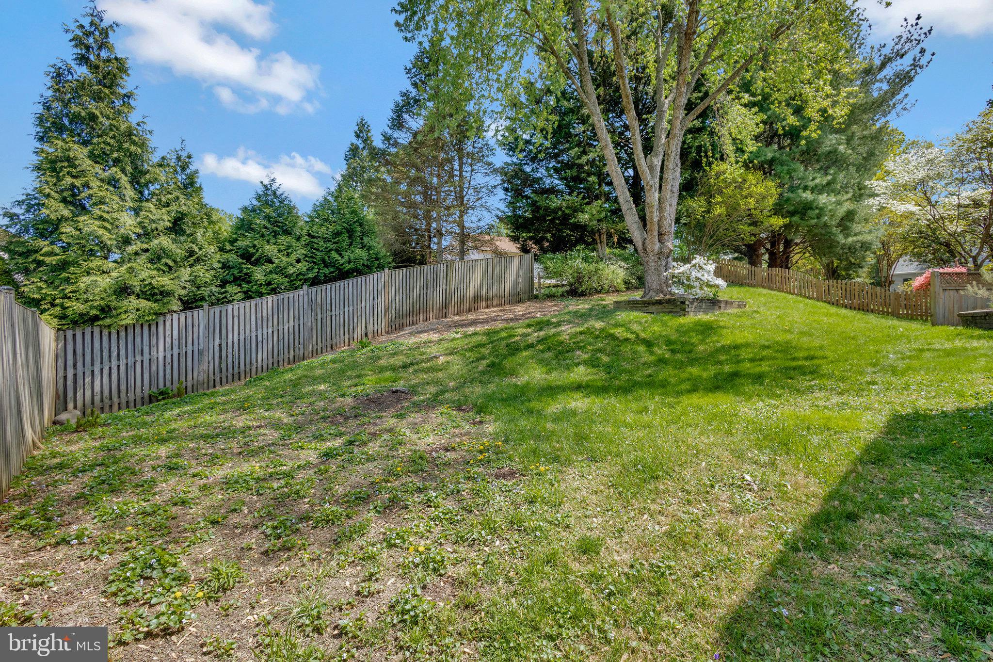 7593 Seabrook Lane Springfield, VA 22153 - Photo 53 of 57