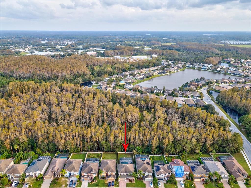 12830 Solola Way Trinity, FL 34655 - Photo 61 of 71 Gallery Image 61