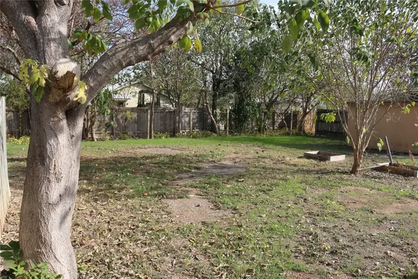 a view of a yard with a tree