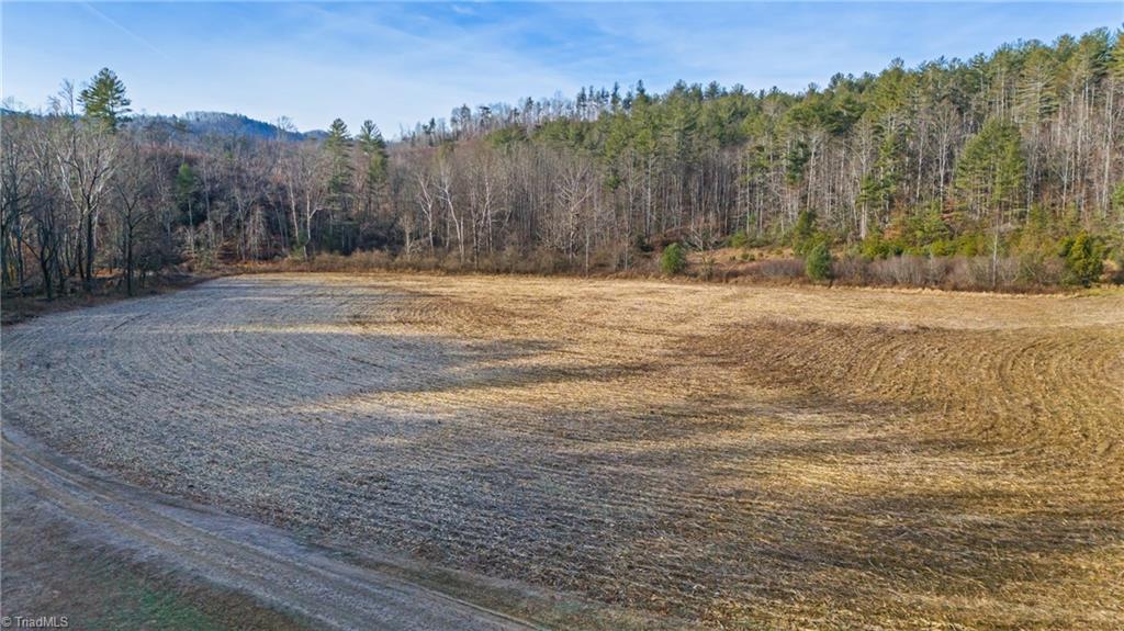 1325 Colvard Road Millers Creek, NC 28651 - Photo 12 of 47