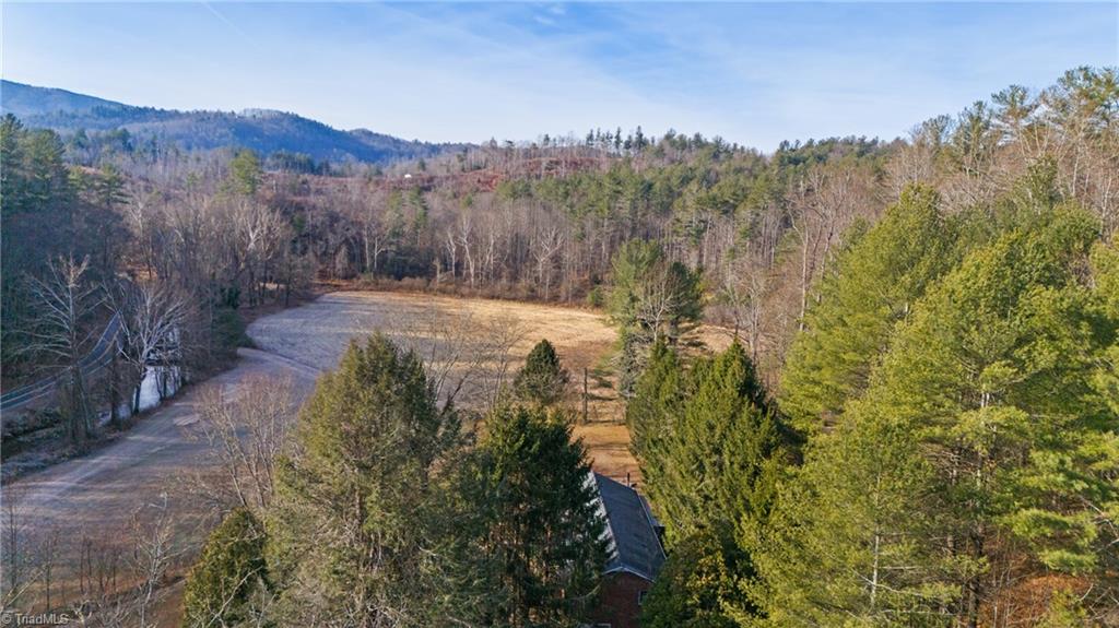 1325 Colvard Road Millers Creek, NC 28651 - Photo 13 of 47