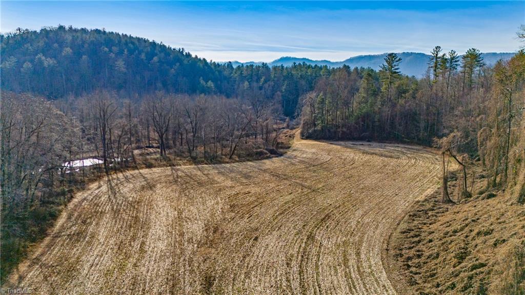 1325 Colvard Road Millers Creek, NC 28651 - Photo 14 of 47