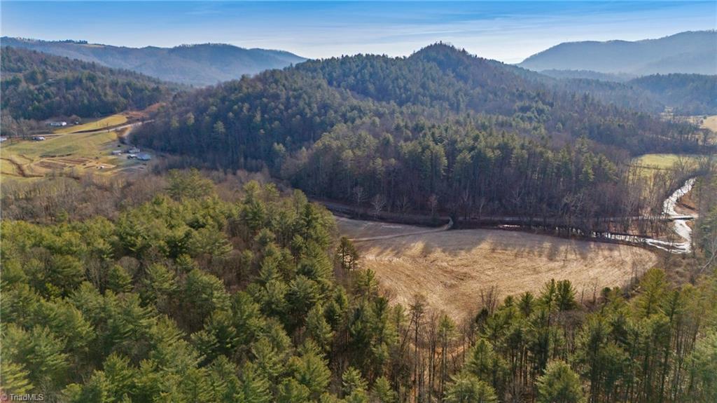 1325 Colvard Road Millers Creek, NC 28651 - Photo 6 of 47