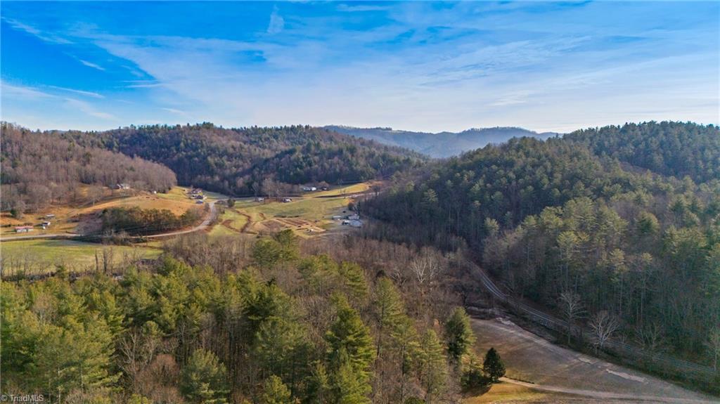 1325 Colvard Road Millers Creek, NC 28651 - Photo 7 of 47