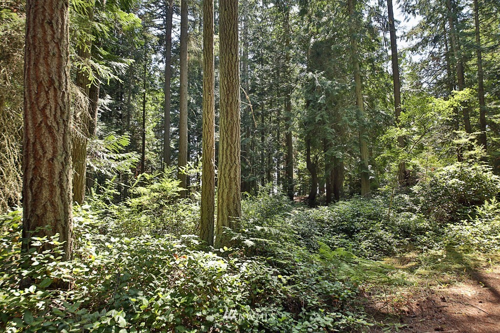 3640 Craw Road Langley, WA 98260 - Photo 25 of 25 Gallery Image 25
