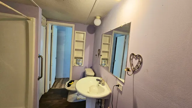 a bathroom with a sink mirror and toilet